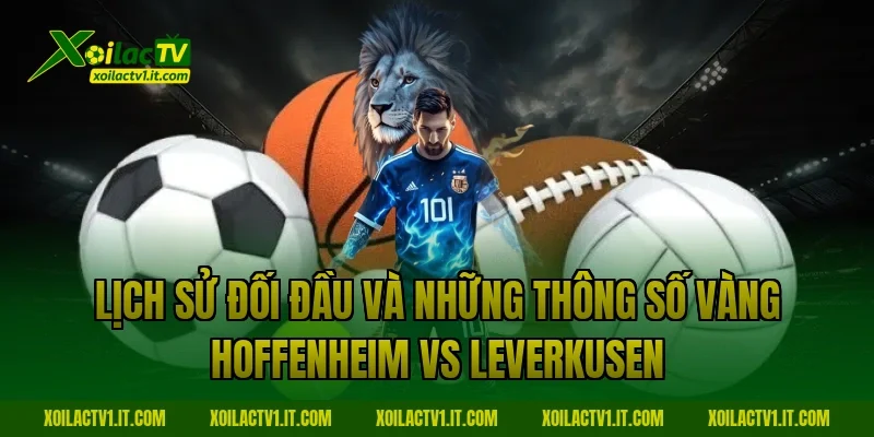 Lịch sử đối đầu và những thông số vàng Hoffenheim vs Leverkusen